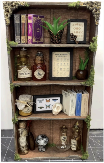 Picture of Curiosity Cabinet: Create Your Own Mini Museum (GCC Main | April 10, 2026) 