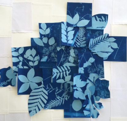 Picture of Print with Light: Cyanotype Workshop (GCC Main | April 3, 2026)